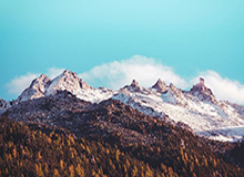 【观察】留守雄鹿字母哥拒学詹姆斯 未来仍存变数？