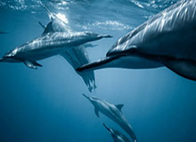 开云体育入口-张莫涵逐条回应张培萌声明：国际反家暴日我站直了