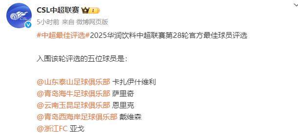 开云体育官网-中超第28轮最佳候选：卡扎伊什维利恩里克在列